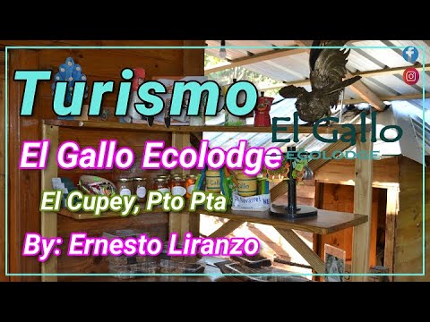 Entrevista con el Creador de "El Gallo Ecolodge", Ernesto Liranzo