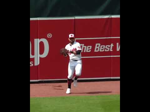 Colton Cowser brings this baseball back!