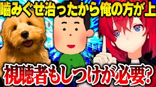 犬のしつけ話をしていたら視聴者がマウントしはじめそっちのシツケもしなくちゃいけないと気づくアンジュ【にじさんじ切り抜き】【アンジュカトリーナ