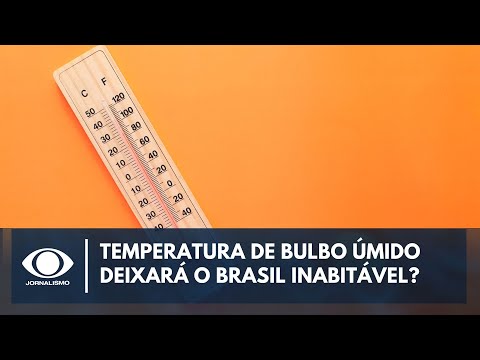 Brasil ficará inabitável por conta da temperatura do bulbo úmido? Entenda