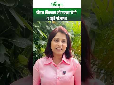 PM KISAN से भी जबरजस्त है ये PM Dhan Dhanya Yojana, जिसमें मिलेेगे एक साथ कई फायदें!। PM Kisan। PMDD
