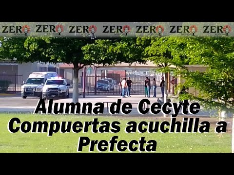 Alumna de Cecyte Compuertas acuchilla a Prefecta. Zero Noticas - Martes 15/AGOSTO/2023