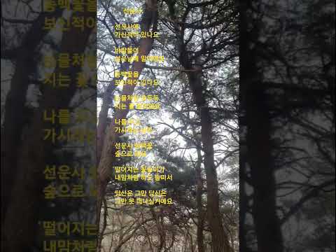 #선운사   #송창식  #선운사에 가신적이 있나요......    #당신은 그만 못 떠나실거예요