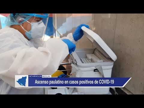 Ascenso paulatino en casos positivos de COVID-19 en Nicaragua