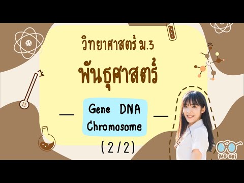 สรุปพันธุศาสตร์ม.3-GeneDN