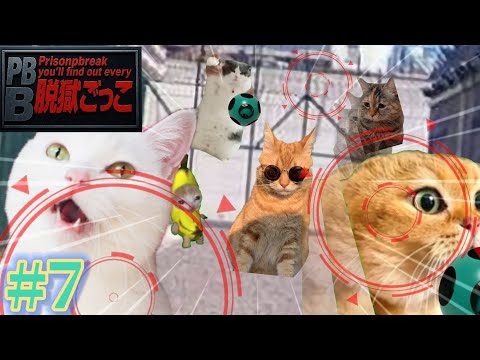 【猫ミーム】脱獄ごっこをすることになった猫たちの物語 第7話
