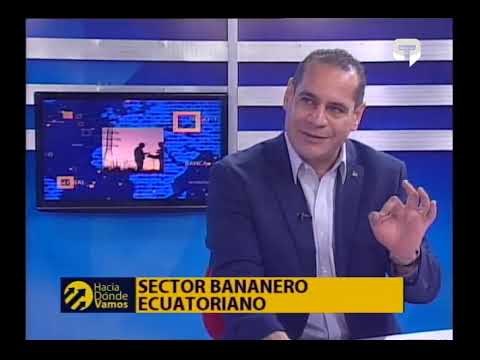 Hacia Dónde Vamos: Sector bananero ecuatoriano