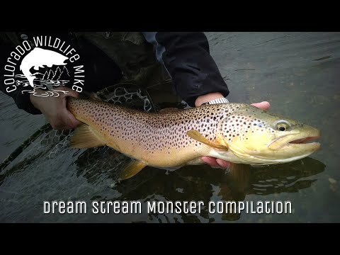 Dream Stream Monster Compilation