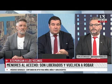 Menores detenidos que son liberados y vuelven a robar. Carlo Dieguez, abogado penalista, en LN+.