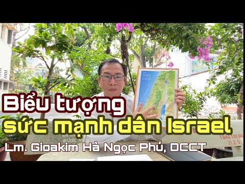 Bài 9: Biểu tượng sức mạnh dân Israel - Lm. Gioakim Hà Ngọc Phú, DCCT