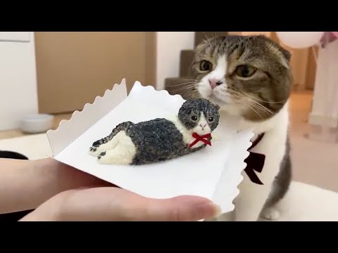 猫の誕生日に自分そっくりなケーキをプレゼントした結果w w