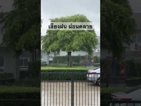 บำบัดฟังผ่อนคลายเสียงฝนตก