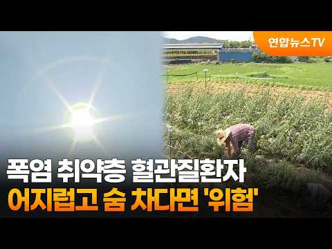 폭염 취약층 혈관질환자…어지럽고 숨 차다면 '위험' / 연합뉴스TV (YonhapnewsTV)