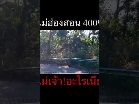 ที่สุดแล้วมส4009travelauto