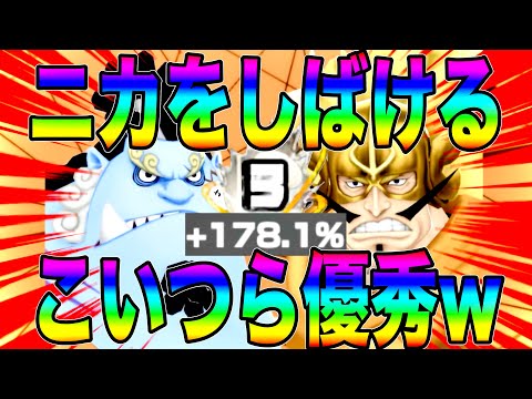 ニカ環境で狩れる守れるジンベエとジャッジがフェス限として優秀すぎるやないかいw【バウンティラッシュ】