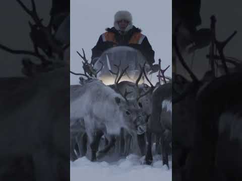 Meet the Sámi, who have lived across Norway, Sweden, Finland, & Russia for Centuries #WildNordic