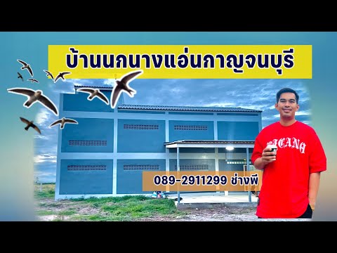 บ้านนกนางแอ่นกาญจนบุรี|089-29