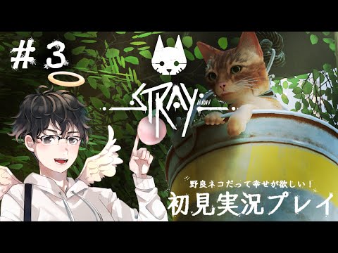 【Stray】野良猫だって幸せが欲しい！初見実況プレイ！[#3]