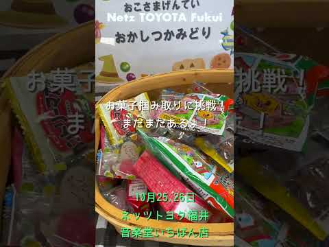 10月25.26日はネッツトヨタ福井 「音楽堂いちばん店」にて大感謝祭開催！タイヤをお得に買えるチャンス！会場の様子をお届け！