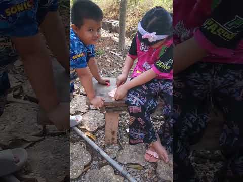 22กุมภาพันธ์ค.ศ.2025