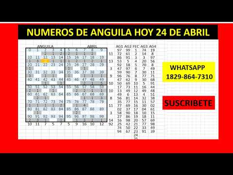 NUMEROS DE ANGUILA HOY 24 DE ABRIL MR TABLA