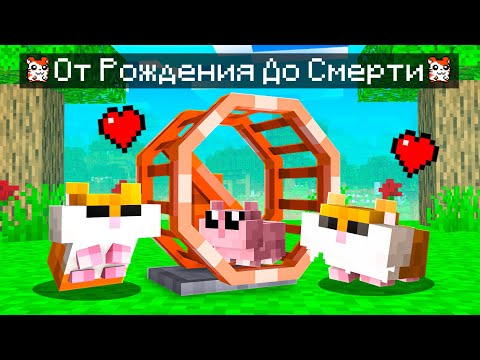 😨 Майнкрафт но Мы Стали СЕМЬЕЙ ХОМЯКОВ!