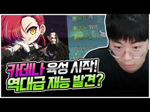 [팡이요,  <strong>메이플스토리</strong>]