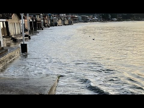 MARÉ SUBINDO EM GAROPABA AO VIVO