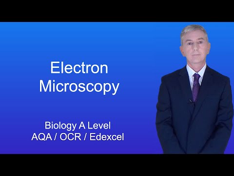 A Level Biology Revision “Electron Microscopy”