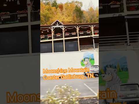 Moonshine Mountain Coaster Gatlinburg, Tn  Decorated For The  Fall . #halloween #mountaincoaster