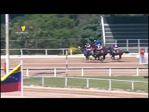 2da. carrera | Gran Lorenzo | Hipódromo La Rinconada | Reunión 36 | 2024