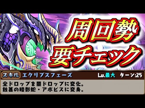 【周回勢集合!!】何か物凄く面白い周回向け変身キャラが登場しましたねw確保必須なのか解説します!!【パズドラ】
