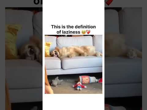 This is the definition of laziness 🥹❤️‍🩹