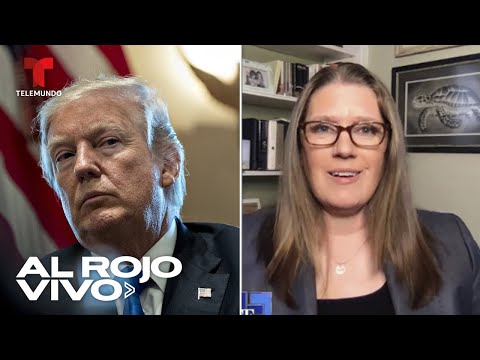 Donald Trump planea un golpe de estado, advierte su sobrina Mary Trump | Al Rojo Vivo | Telemundo