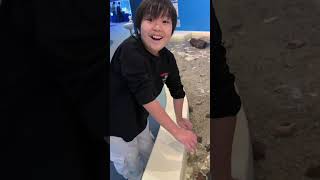 動画サムネイル