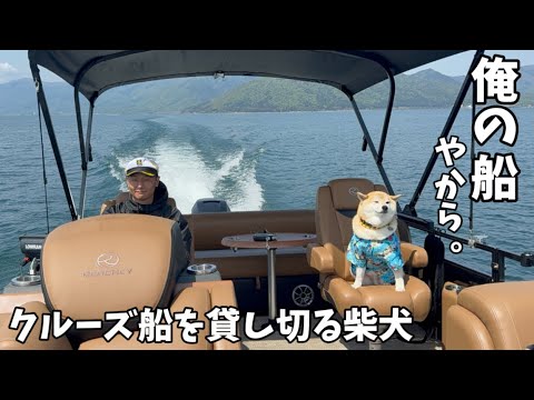 豪華なクルーズ船を貸し切って楽しむ柴犬と、ビビりまくるハスキーがヤバすぎました…