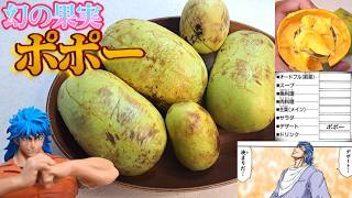 幻の果実！？ 森のカスタードクリーム【ポポー】が美味すぎる！！ 【自分をトリコだと思い込んでいる男】