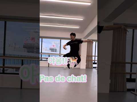 야옹! | Pas de chat 에서 중요한 것! 🐈🩰