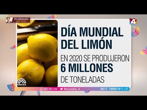 Buen Día - 30 de Setiembre: Día Mundial del Limón