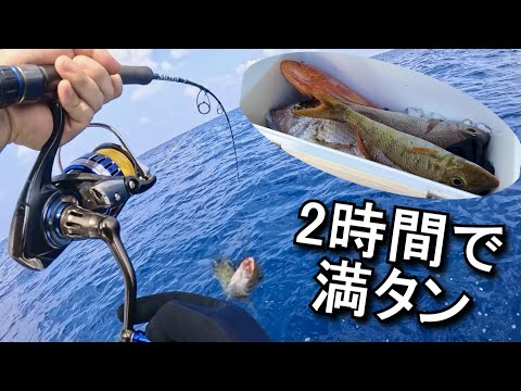 2時間でクーラー満タン！落とせば食うヤバイ日の船釣り！
