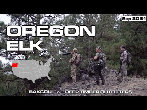 We Had Bulls All Around Us! | Oregon Elk Hunt