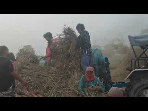 आग लगा दी 🐯#trending #farming #farmer #1000subscribe #funnymemes 