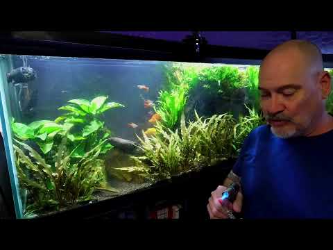 Sunday Fish N Hits w / Dan Join this channel to get access to perks_
https_//www.youtube.com/channel/UCBdxLXjOdp26Ke8NQRt7eBg/j
