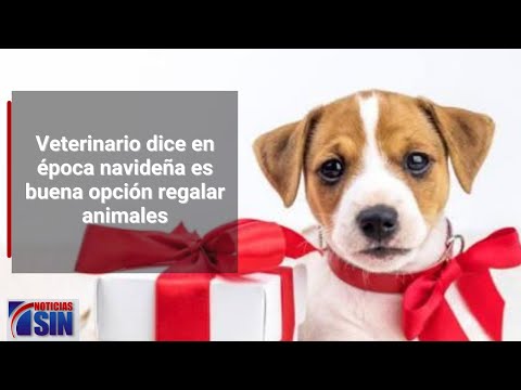 En época navideña es buena opción obsequiar animales