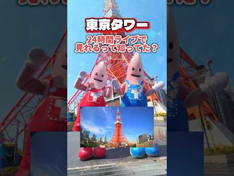 東京タワーが24時間見れるって知ってた？ #tokyotower #東京タワー #shorts