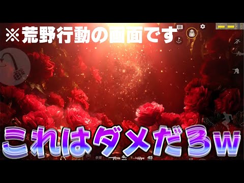 Xで話題になってる薔薇の舞踏会の閃光弾がガチでぶっ壊れてるwwwwww　#荒野行動