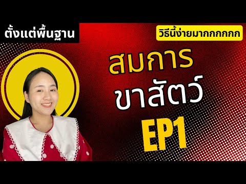 สมการขาสัตว์Ep1|ครูนุ๊ก