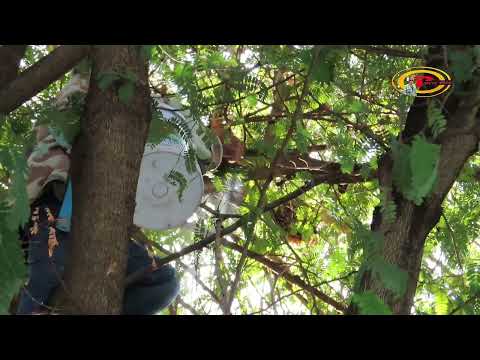 เขาให้ออกจากโรงเรียนซะแล้วอันต