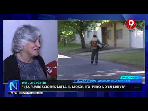 Dengue: bajan los casos en Paraná
