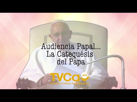 Papa Francisco Audiencia General 22 Junio 2022